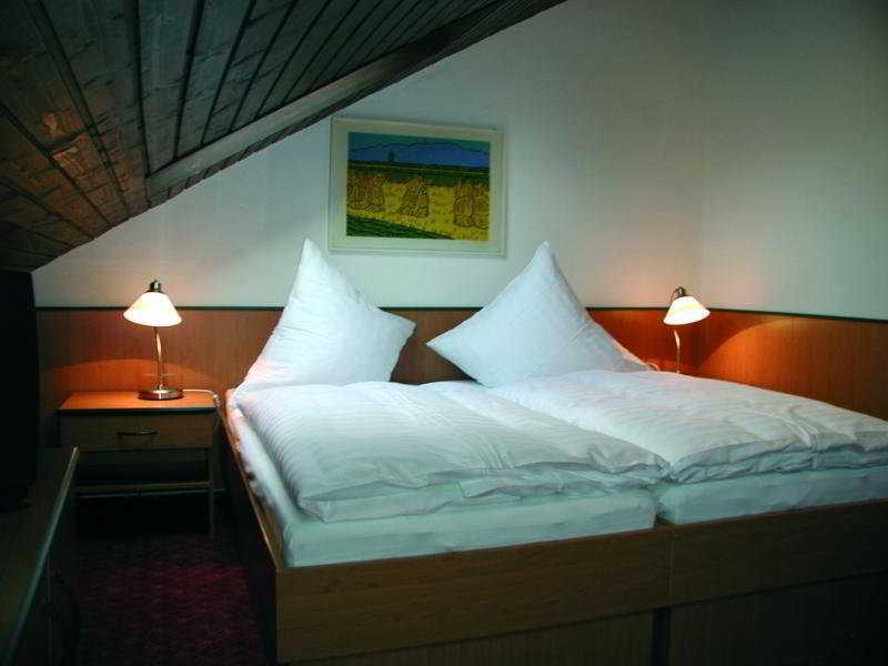 Hotel Traube Offenburg Kültér fotó